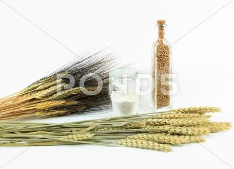 Wheat plants and products. Stock Photos