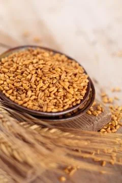 Wheat in plate. Stock Photos