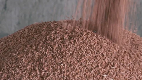 Wheat prepared for sowing Stock Footage 241334462