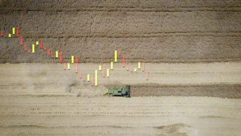 Wheat price rising graph animation due to world inflation and crisis Stock Footage 195708802