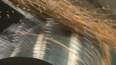 Wheat process using machines in India Video stock 109405082