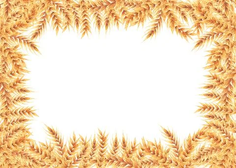 Wheat rectangle field. Frame with ears of wheat. Watercolor illustration hand Stock Illustration