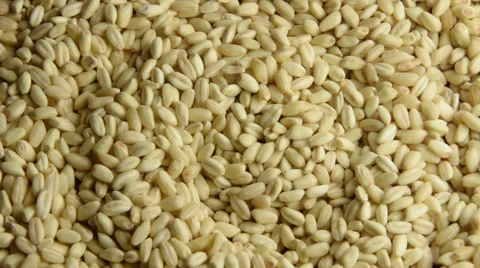 Wheat rotating smoothly Stock Footage 54113397