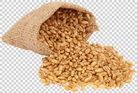 Wheat in a sack bag Stock Photos