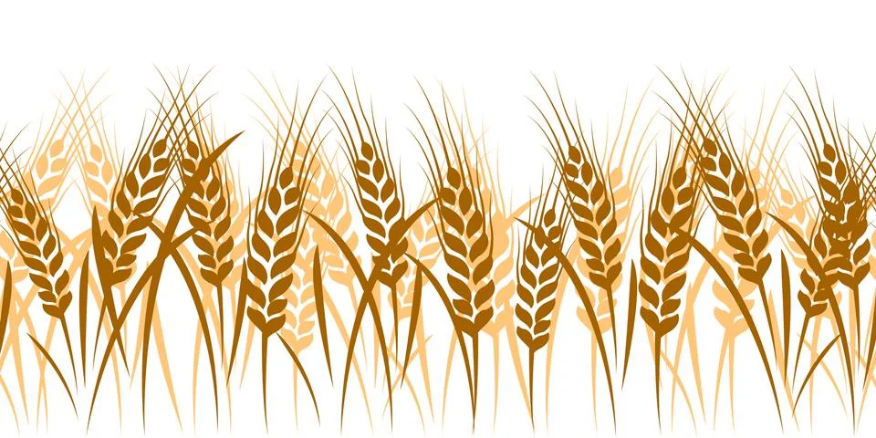 Wheat seamless Illustrazione stock