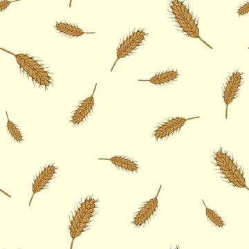 Wheat seamless pattern. Cereal crop sketch. イラスト素材