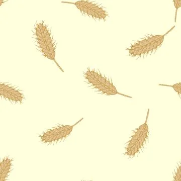 Wheat seamless pattern. Cereal crop sketch. Stockillustratie
