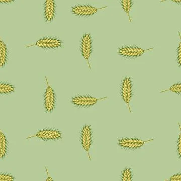 Wheat seamless pattern. Cereal crop sketch. Stock Illustration