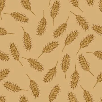 Wheat seamless pattern. Cereal crop sketch. イラスト素材