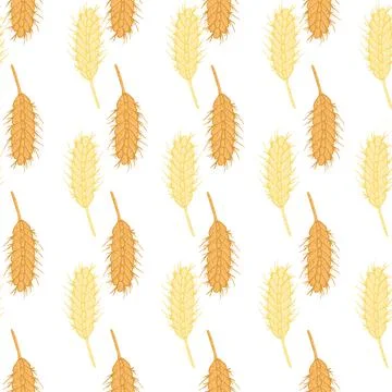 Wheat seamless pattern. Cereal crop sketch. Stockillustratie