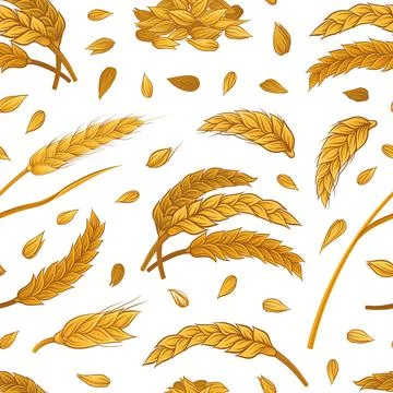 Wheat seamless pattern. Gold ears of wheat and grains background, wallpaper Stock Illustration