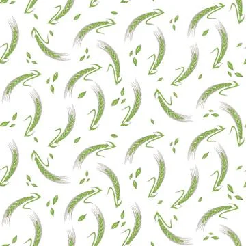 Wheat seamless pattern. Vector on isolated background. 스톡 일러스트