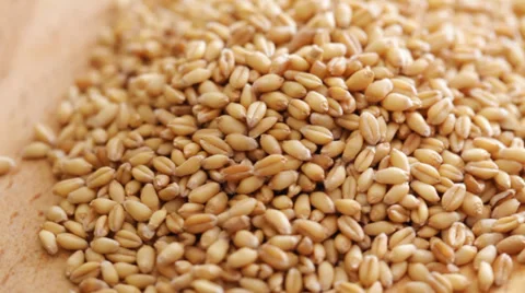 Wheat seed close up Stock Footage 35965935