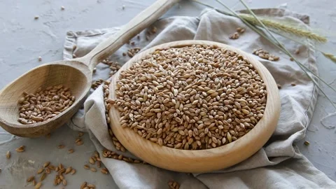 Wheat seeds	 Stock Footage 136140214