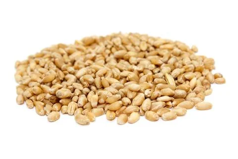 Wheat seeds image with selective focus Stockfoto's