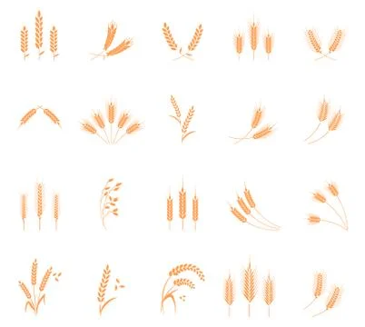 Wheat Set of icons. Illustrazione stock