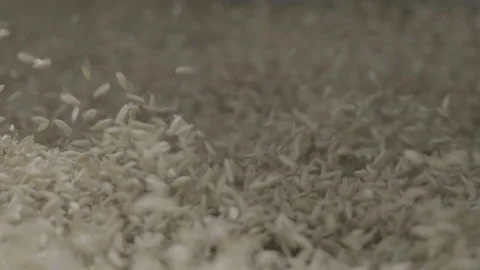 Wheat sifting Stock Footage