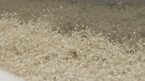 Wheat sifting Video stock 151872359