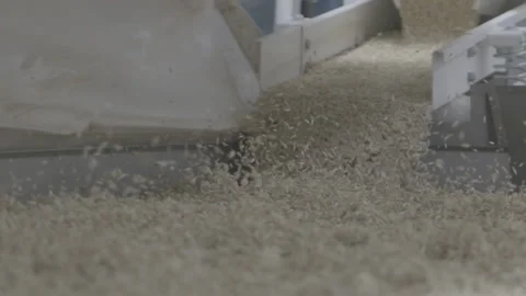 Wheat sifting Video stock 151872506