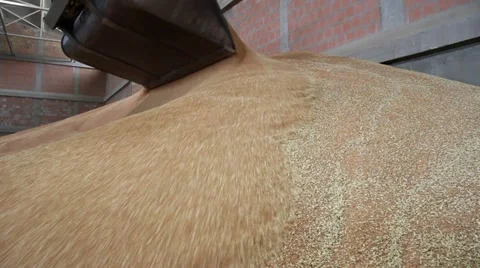 Wheat in the Silo Video stock 11400365