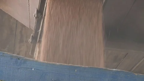 Wheat in the Silo, loader working The harvest of cereals Stock Footage 80048800