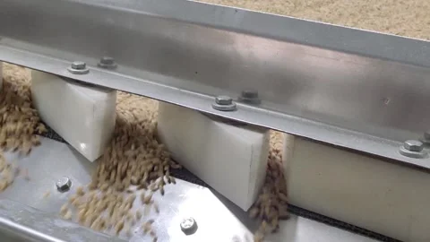 Wheat sorting and processing in a factory, grain silo, Production of Wheat Stock Footage 247301793