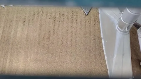 Wheat sorting and processing in a factory, grain silo, Production of Wheat Stock Footage 247301961