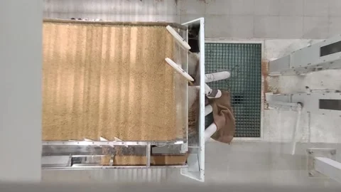 Wheat sorting and processing in a factory, grain silo, Production of Wheat Stock Footage 247302581