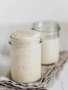 Wheat sourdough starter different hydration levels Stockfoto's