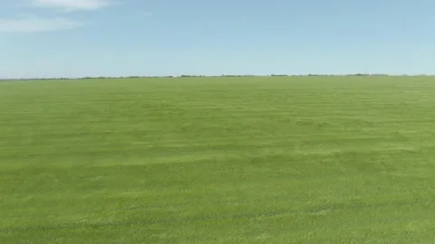 Wheat, sowing 2 Stock Footage 195508770