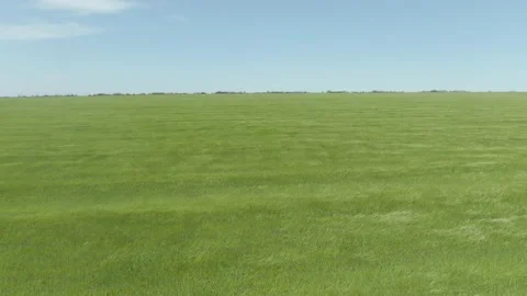 Wheat, sowing 3 Stock Footage 195508870