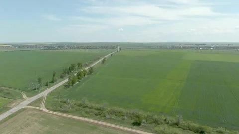 Wheat, sowing, cornfield 3 Stock Footage 195508954