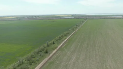 Wheat, sowing, cornfield Stock Footage 195508979