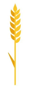 Wheat spike vector flat isolated Illustrazione stock