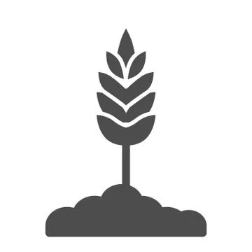 Wheat spikelet solid icon, organic concept, Spica sign on white background Stock Illustration