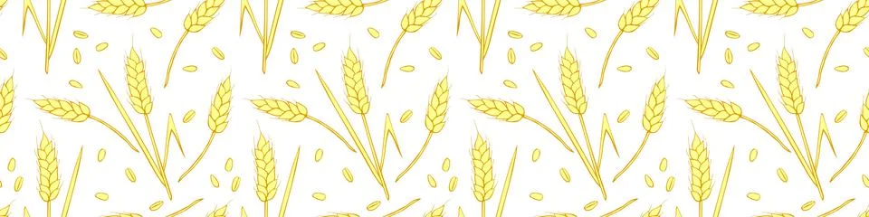 Wheat spikelets and grains, vector seamless pattern. Outline drawn in sketch  Stock Illustration