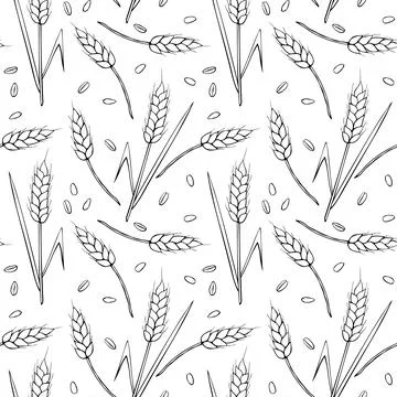 Wheat spikelets and grains, vector seamless pattern. Outline drawn in sketch  イラスト素材