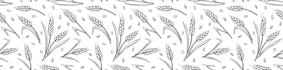 Wheat spikelets and grains, vector seamless pattern. Outline drawn in sketch  스톡 일러스트