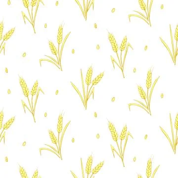 Wheat spikelets and grains, vector seamless pattern in flat style, isolated.  스톡 일러스트