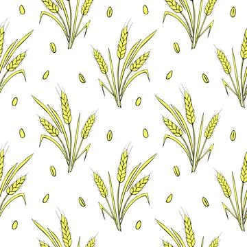 Wheat spikelets and grains, vector seamless pattern in doodle flat style, iso Stock Illustration