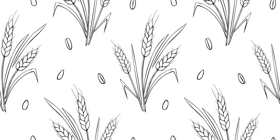 Wheat spikelets and grains, vector seamless pattern. Outline drawn in sketc.. Stock Illustration