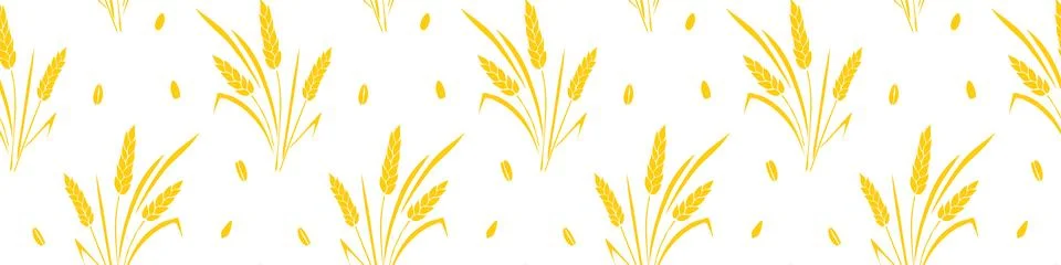 Wheat spikelets and grains, vector seamless pattern in flat style, isolated.  스톡 일러스트