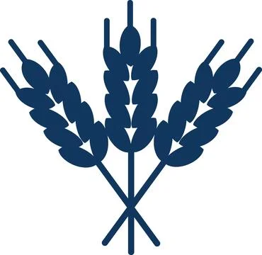 Wheat spikelets bundle agricultural crop icon Stock Illustration