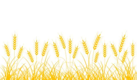 Wheat spikelets Stock Illustration