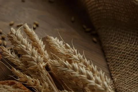 Wheat spikelets isolated on brown background. Wheat ears isolated. Package de Stock Photos