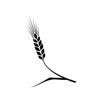 Wheat spikelets line icon. Wheat farm symbol. Liner style. Vector illustratio Stock Illustration