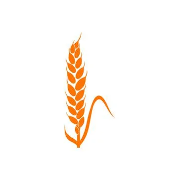 Wheat spikelets line icon. Wheat farm symbol. Liner style. Vector illustratio Stock Illustration