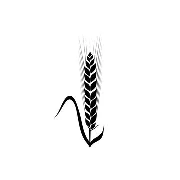 Wheat spikelets line icon. Wheat farm symbol. Liner style. Vector illustratio Stock Illustration