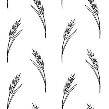 Wheat spikelets, vector seamless pattern. Black outline drawn in sketch style Stock Illustration
