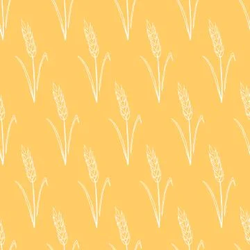 Wheat spikelets, vector seamless pattern. Outline drawn in sketch style. Autu 스톡 일러스트